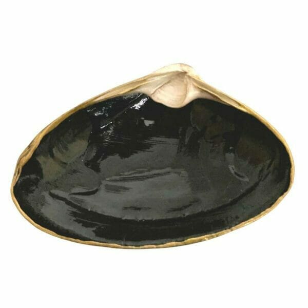 ChrisClineDesign Black Painted shell with gold edging