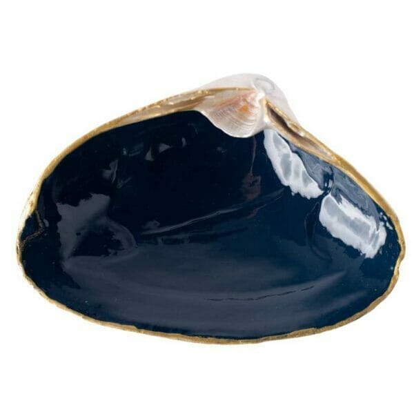 ChrisClineDesign Navy Painted shell with gold edging