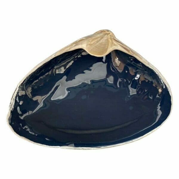 ChrisClineDesign Navy Painted shell with silver edging