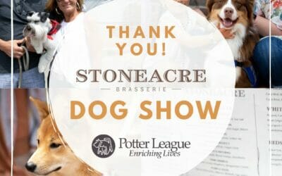 Stoneacre Dog Show
