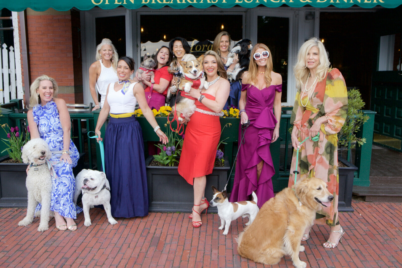 Bellevue bow WOW! Newport Living and Lifestyles * Sponsored by Lucky Dog Resort # Photo by AdamHimberPhoto.com