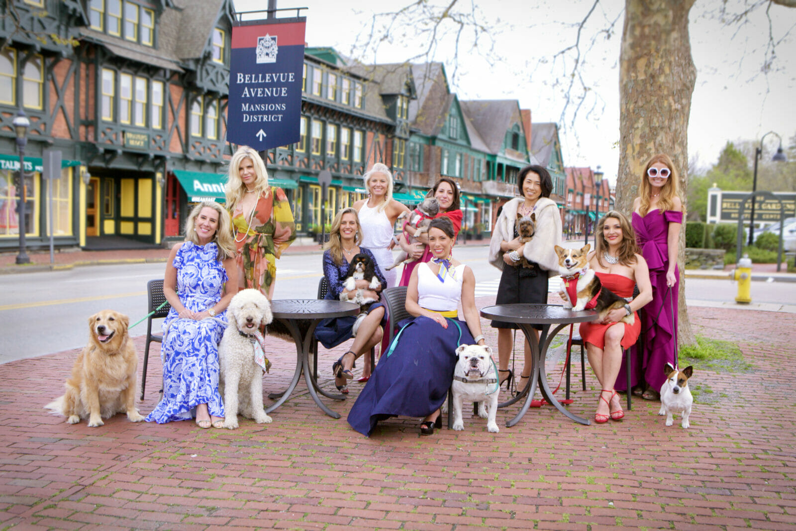 Bellevue bow WOW! Newport Living and Lifestyles * Sponsored by Lucky Dog Resort # Photo by AdamHimberPhoto.com